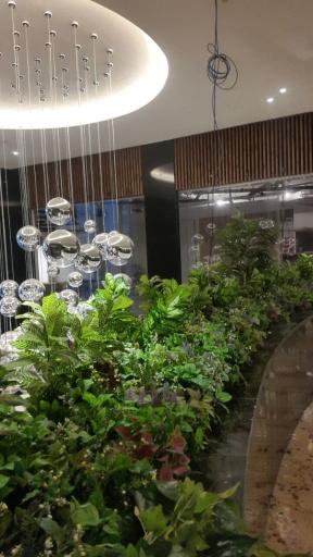 عکس گل لاریس