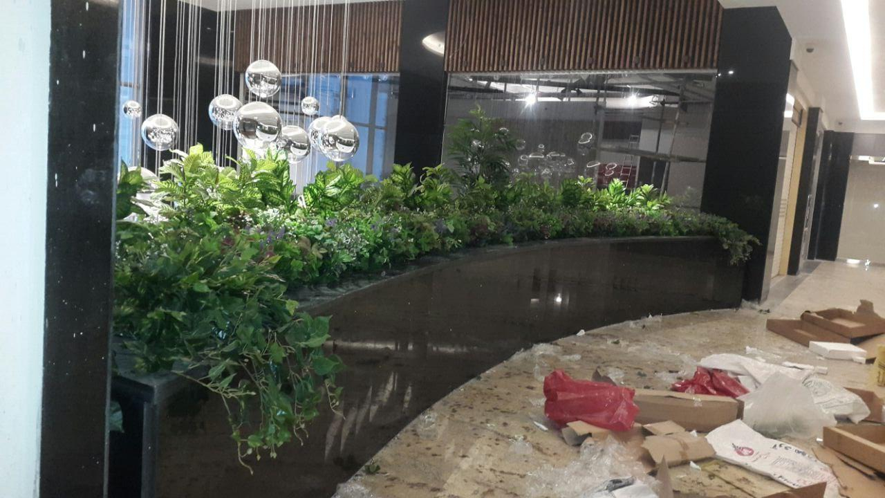 عکس گل لاریس