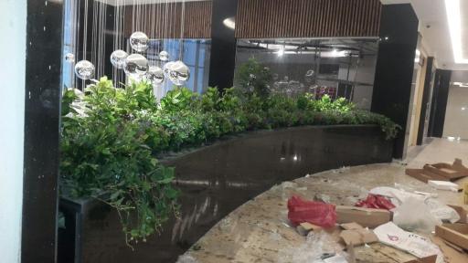 عکس گل لاریس