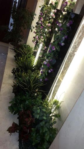 عکس گل لاریس