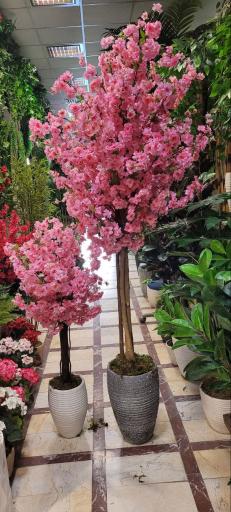 عکس گل لاریس