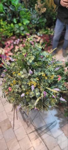 عکس گل لاریس