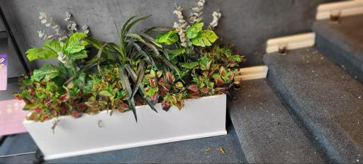 عکس گل لاریس