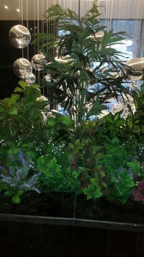 عکس گل لاریس