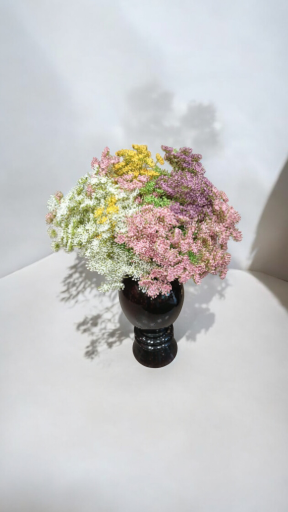 عکس گل لاریس