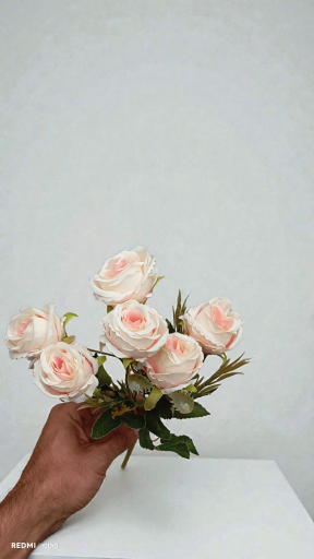 عکس گل لاریس