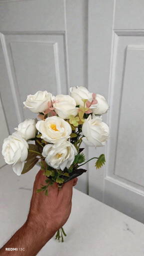 عکس گل لاریس