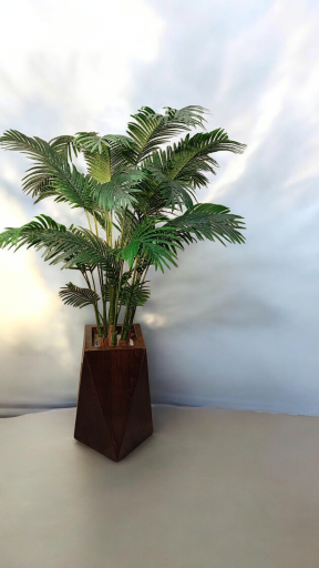 عکس گل لاریس