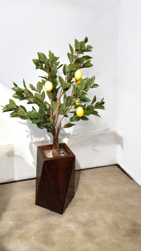 عکس گل لاریس