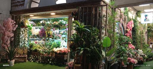 عکس گل لاریس