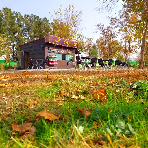 عکس کافه پرواز