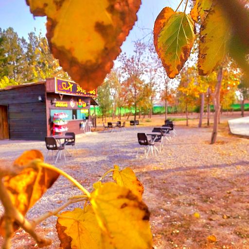 عکس کافه پرواز