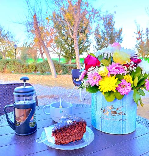 عکس کافه پرواز