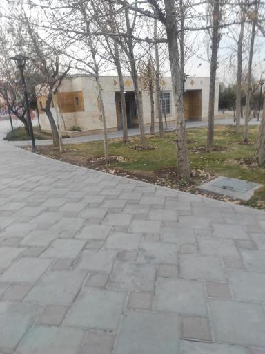 سرویس بهداشتی