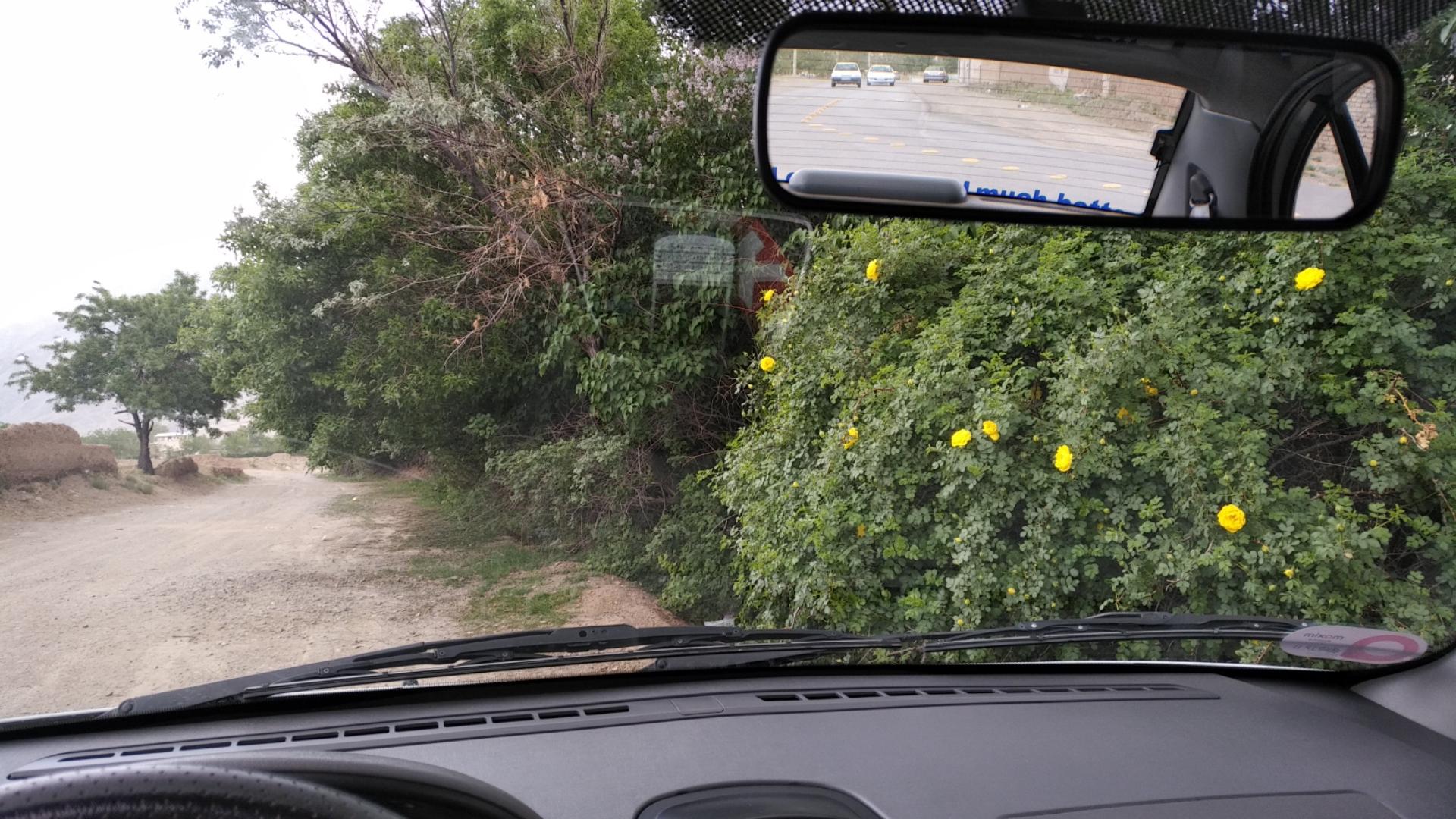 عکس باغ عکاسی و فیلمبرداری محسن علیمرادی