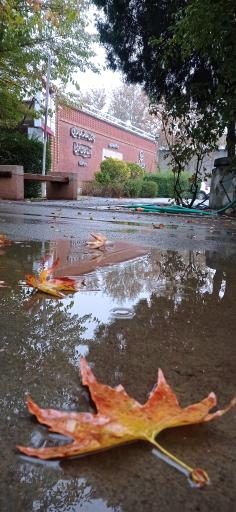 عکس دانشگاه فرهنگیان پردیس علامه طباطبائی