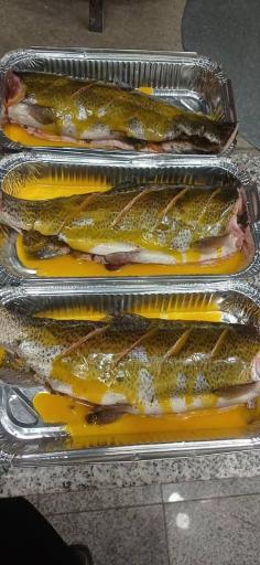 عکس مرغ و ماهی تنوری ماژ