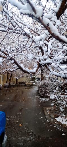 عکس دانشگاه فرهنگیان پردیس علامه طباطبائی