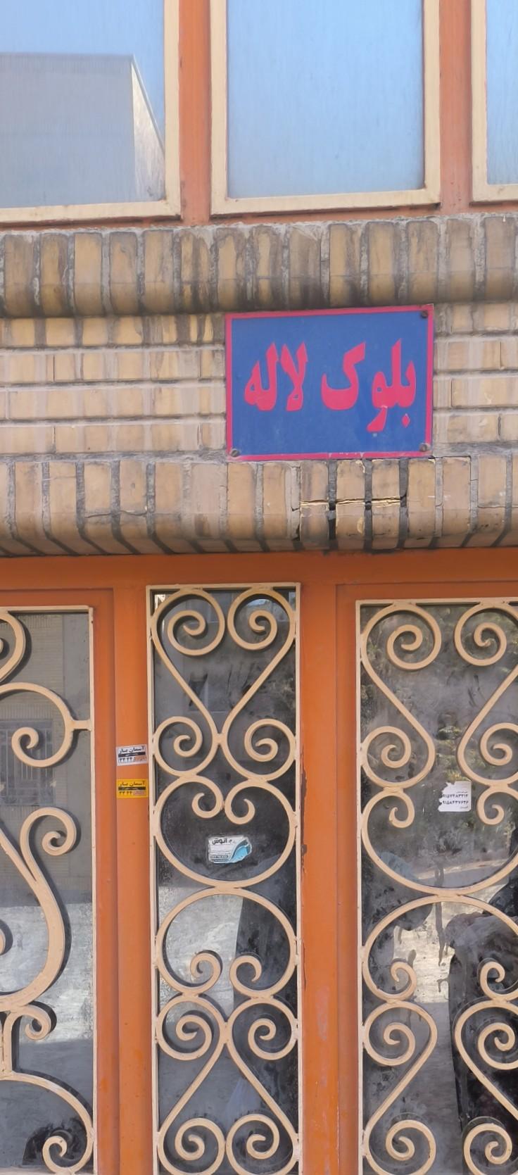 عکس مجتمع لاله