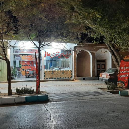 عکس مرغ و ماهی تنوری ماژ