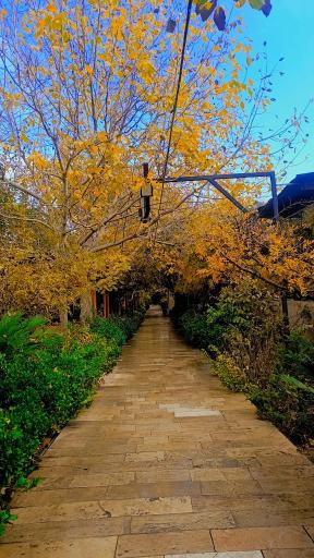 عکس باغ رستوران کاریزما