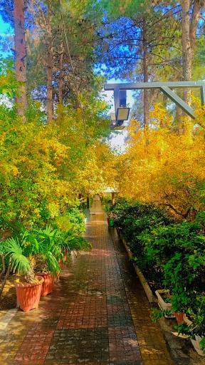 عکس باغ رستوران کاریزما