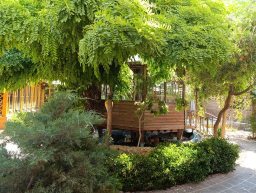 عکس بره کبابی مهرگان (گلپا سابق)