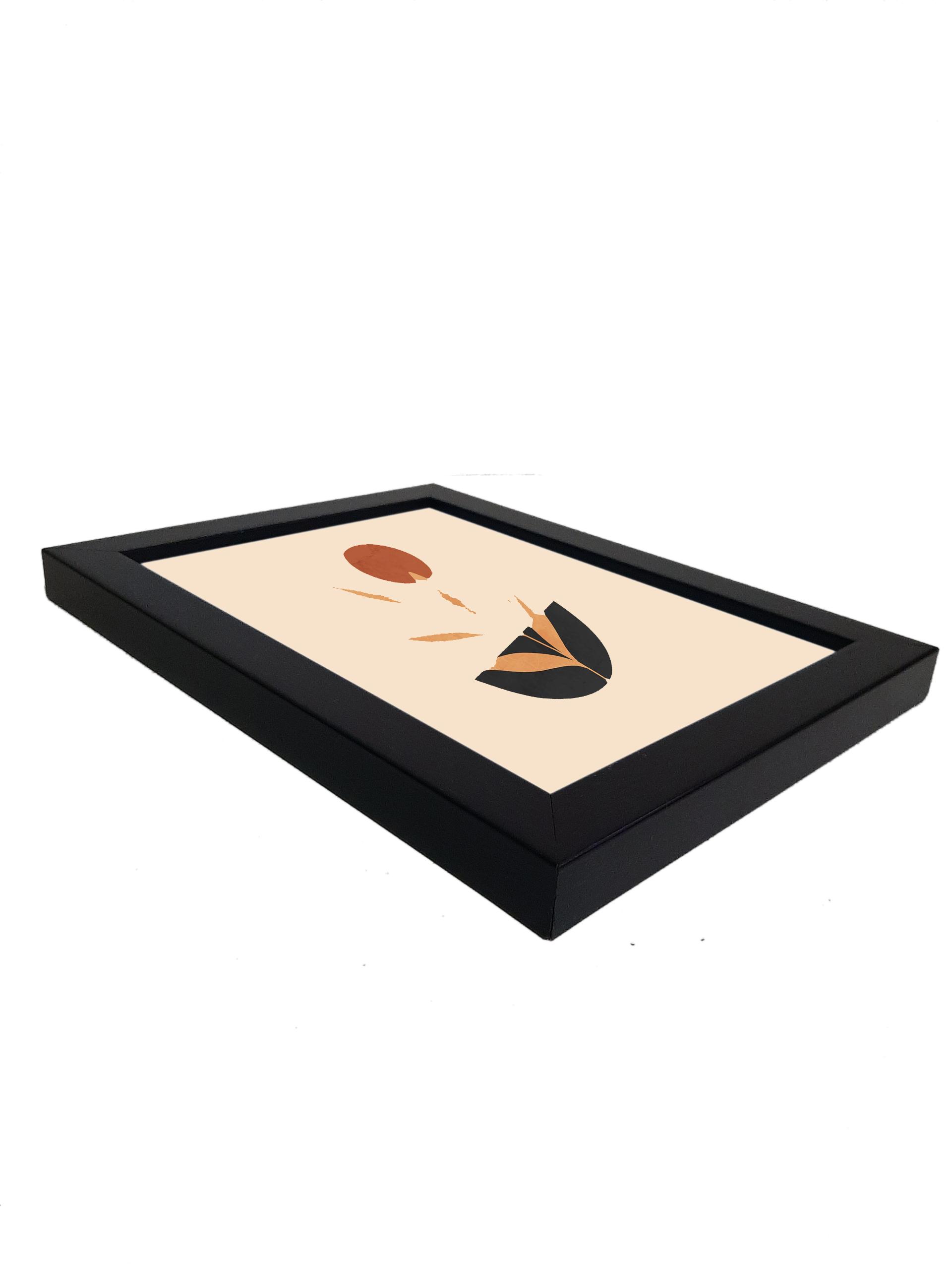 عکس قاب وتخته شاسی کریمی