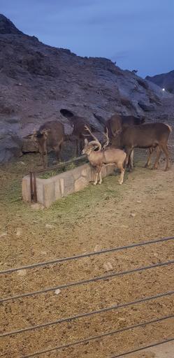 عکس دهکده گردشگری گهر پارک