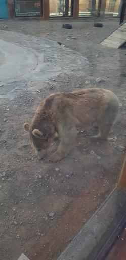 عکس دهکده گردشگری گهر پارک