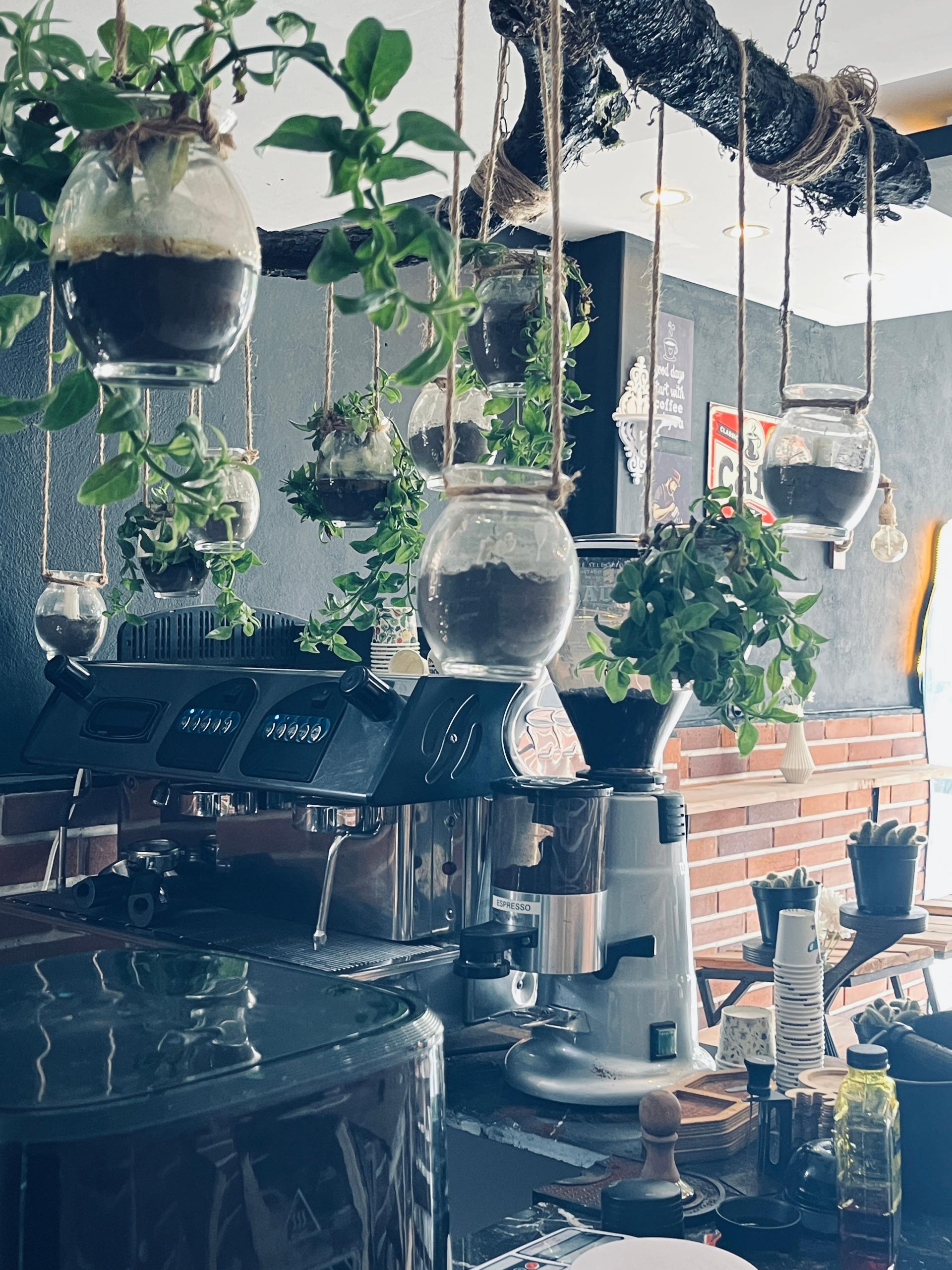 عکس کافه ایریک