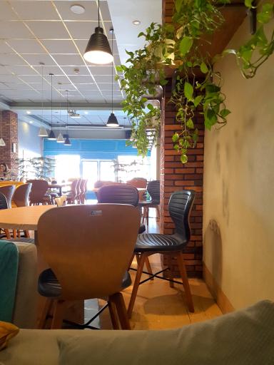 عکس کافه فیروزه