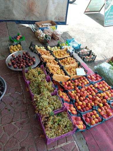 عکس میوه فروشی اصلانی