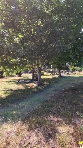 عکس آرامستان سنگ چین