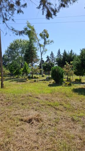 عکس آرامستان سنگ چین