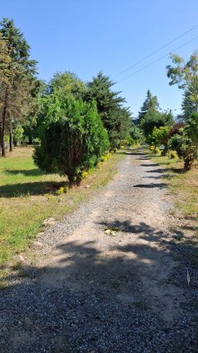 عکس آرامستان سنگ چین