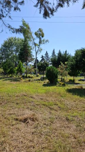 عکس آرامستان سنگ چین