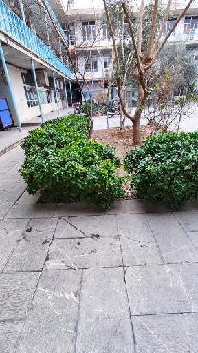 عکس مدرسه علمیه منتظریه (حقانی)