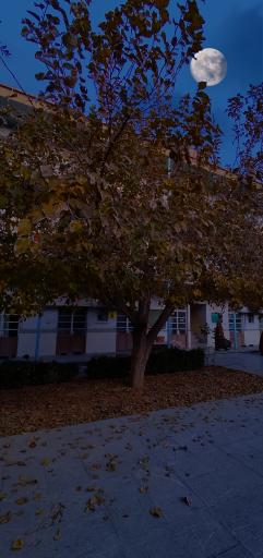 مدرسه علمیه منتظریه (حقانی)