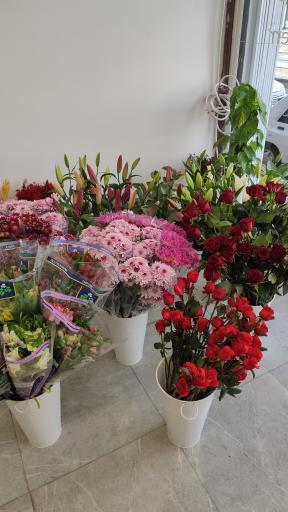 گلفروشی وینا 