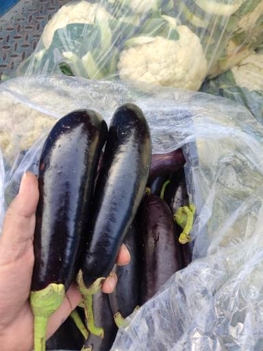 عکس روستا میوه