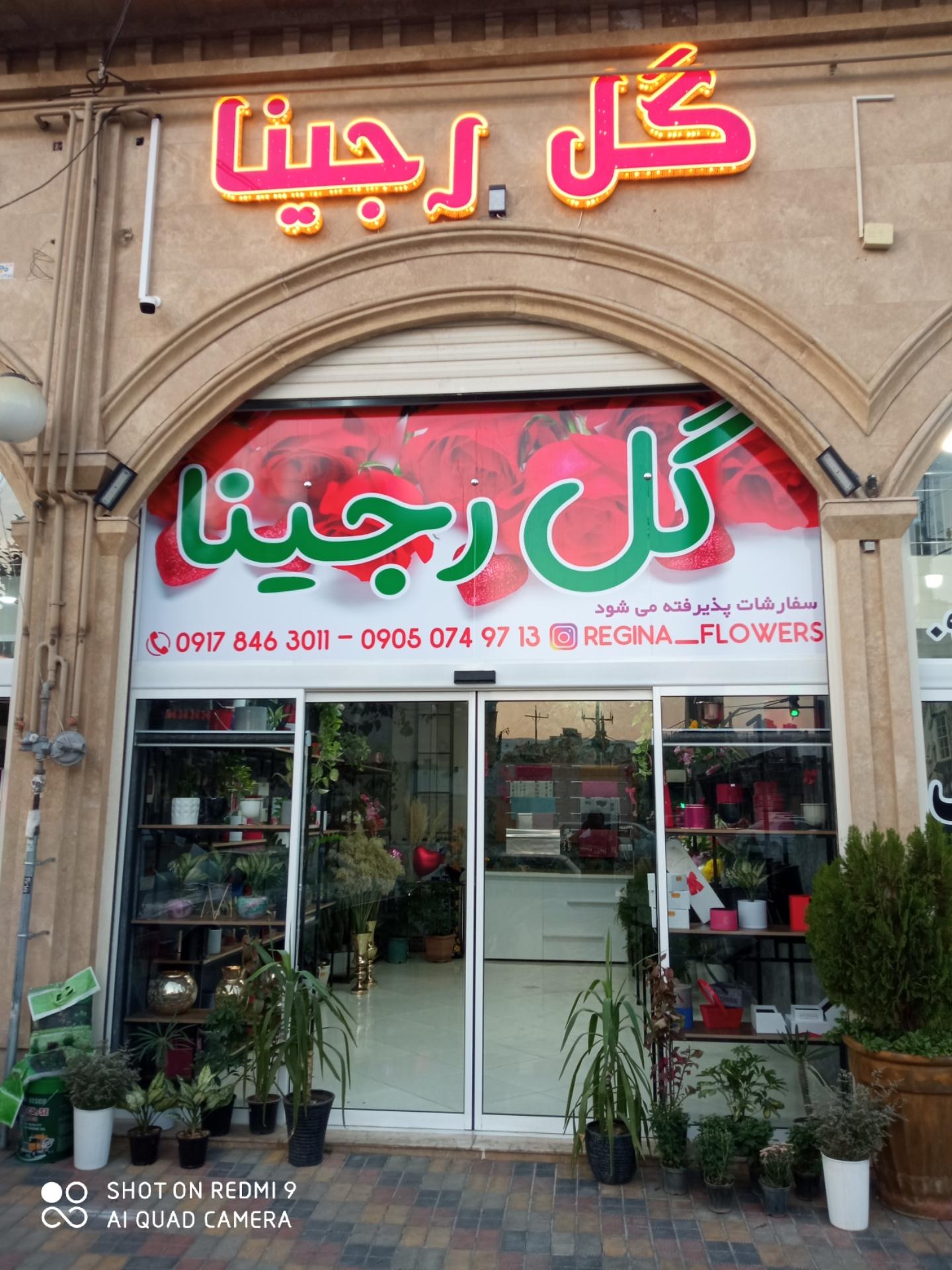 عکس گل رجینا