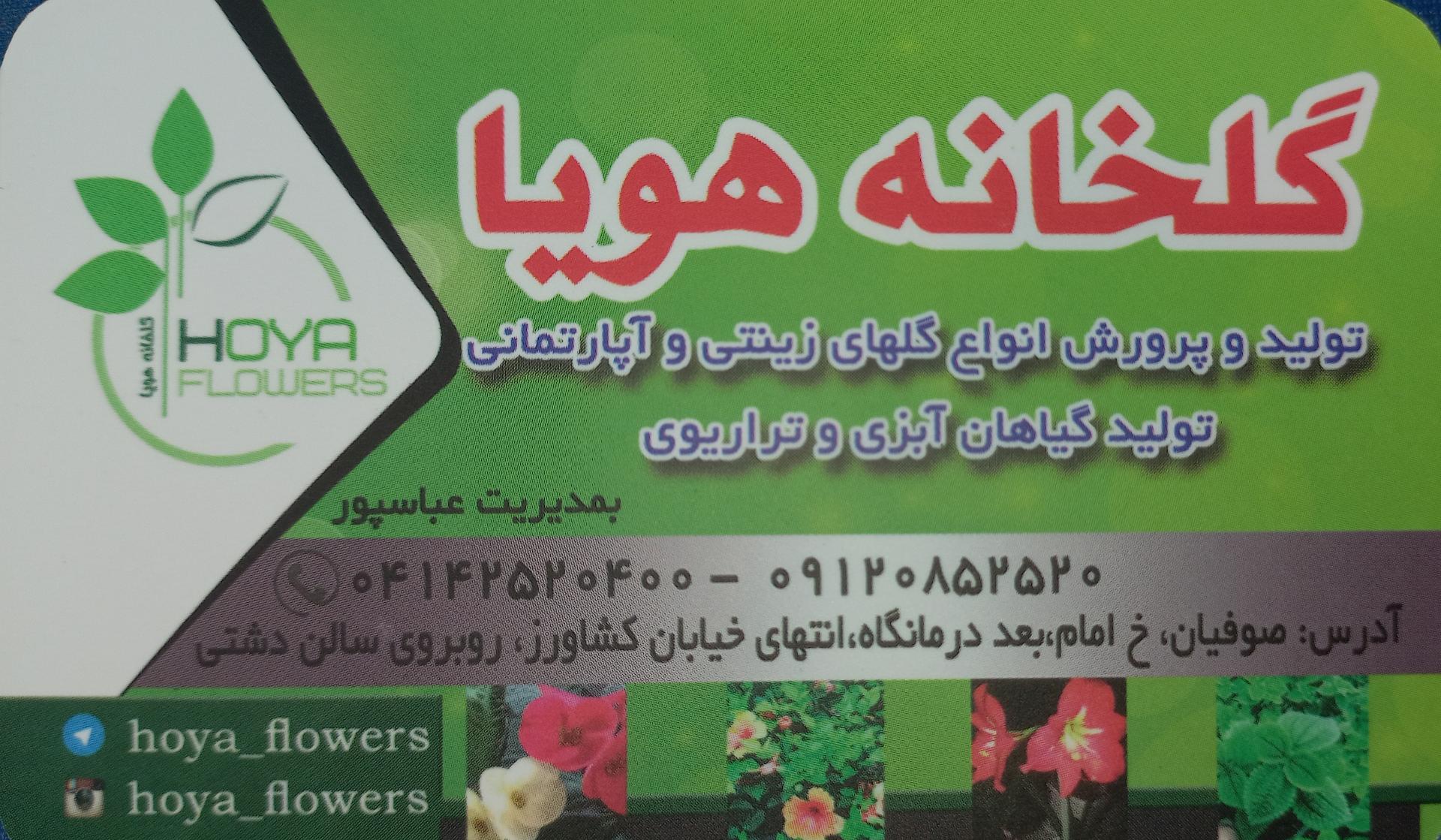 عکس گلخانه هویا
