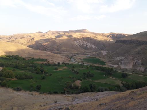 عکس ناولیق