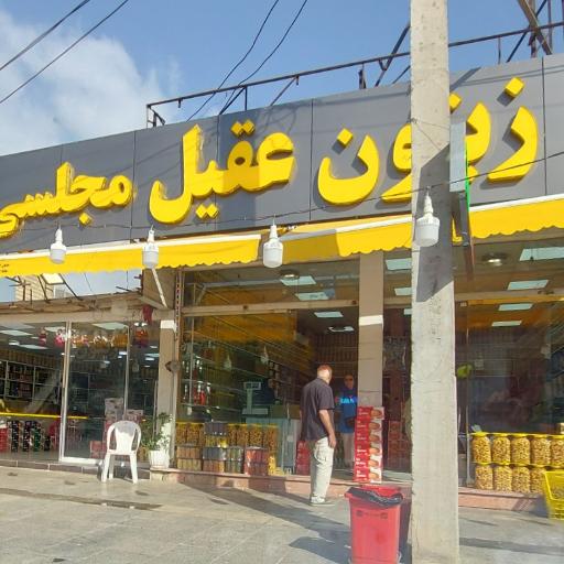 عکس زیتون عقیل مجلسی