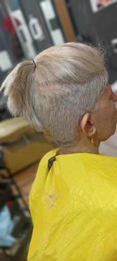 عکس سالن ملودی 