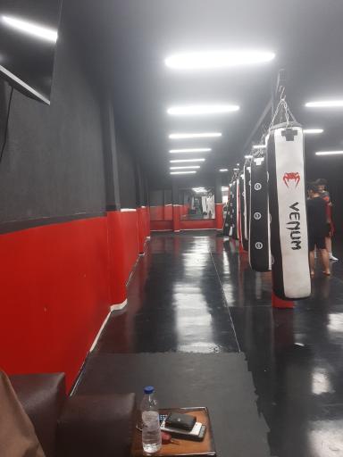 عکس مجموعه ورزشی احسان وفایی