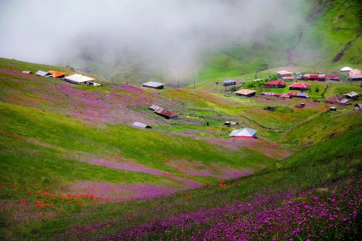 عکس سوباتان