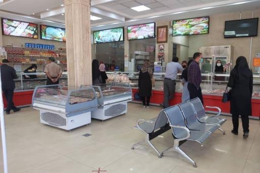 عکس پروتیین آرام