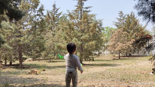 عکس بوستان حضرت خدیجه (س)